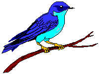 Bluebird