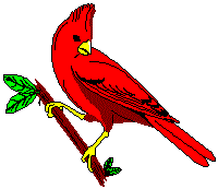 Cardinal