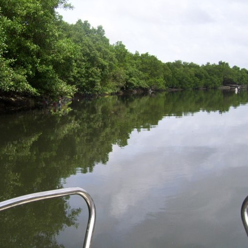 iloilo river